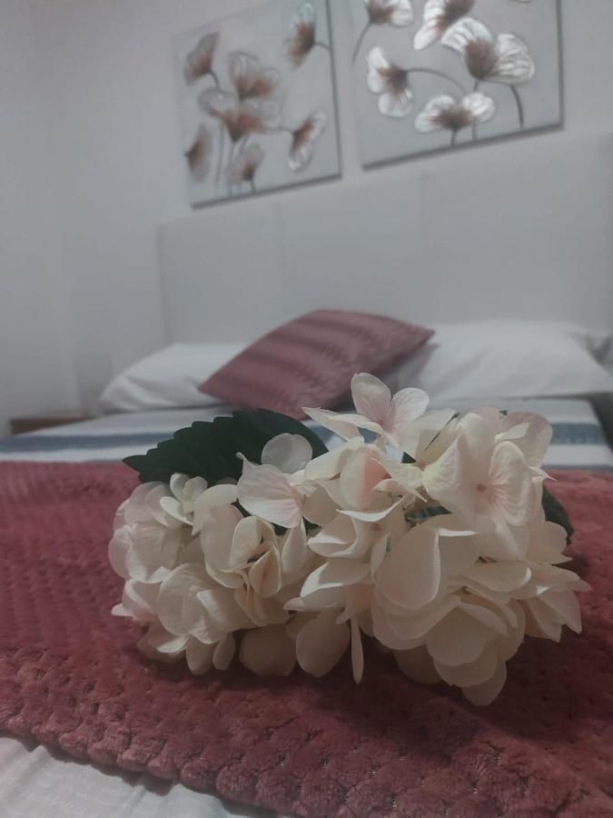 Camino Santiago Estrella Apartment Sarria Ngoại thất bức ảnh